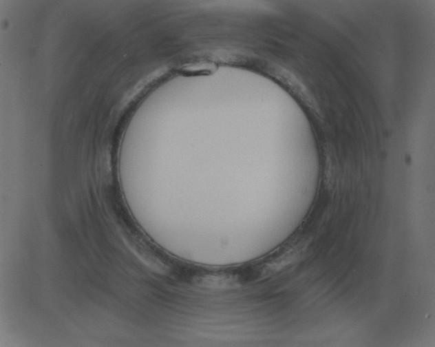 X0000081280251200702012226