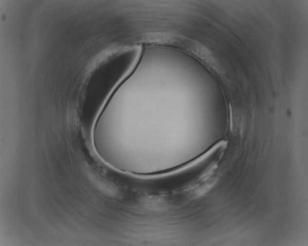 X0000081280252200702012226