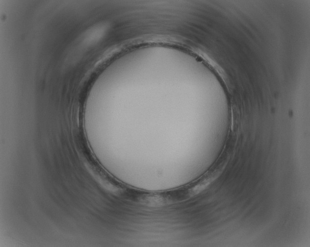 X0000081280253200702012226