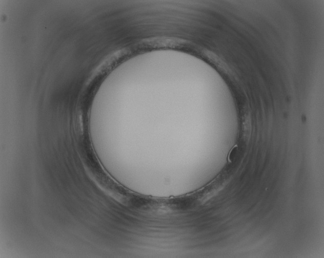 X0000081280254200702012226