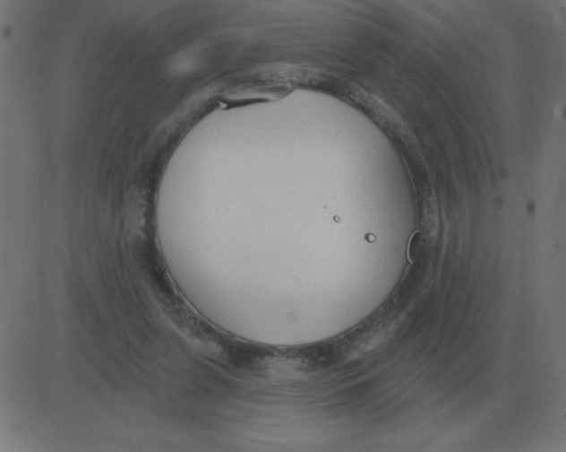 X0000081280255200702012226