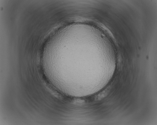 X0000081280257200702012226