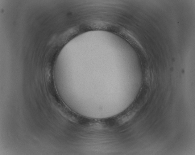 X0000081280259200702012226