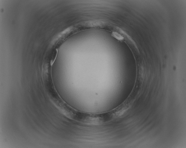 X0000081280260200702012226