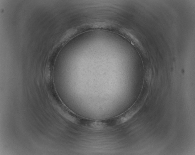 X0000081280261200702012226