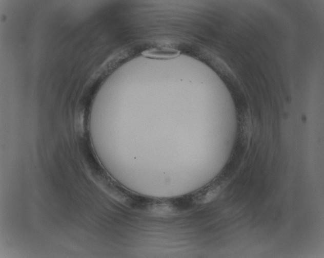 X0000081280262200702012226