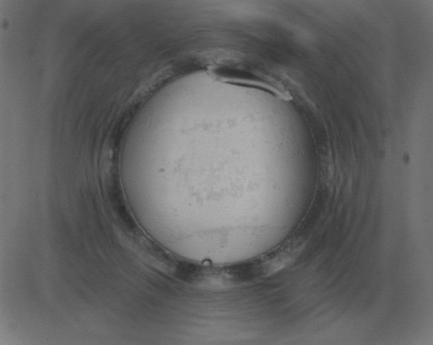 X0000081280263200702012226