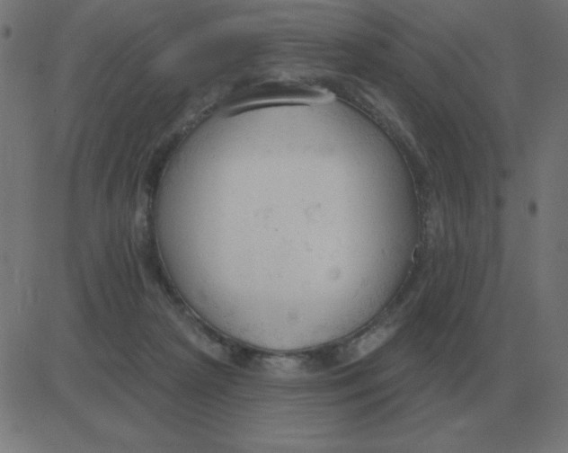 X0000081280265200702012226