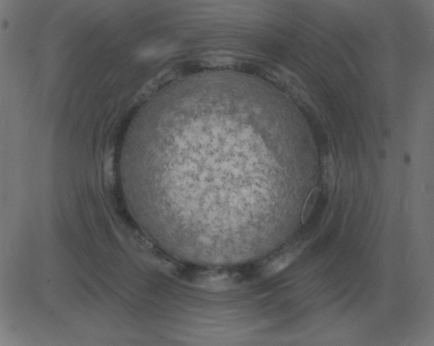 X0000081280267200702012226