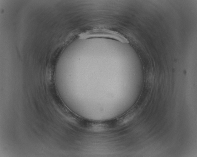 X0000081280268200702012226