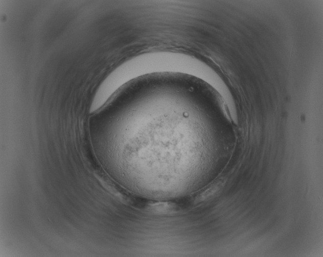 X0000081280269200702012226