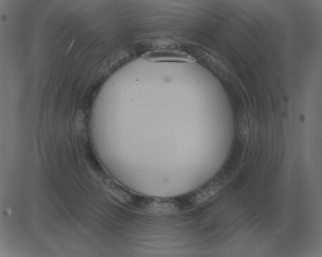 X0000081280270200702012226