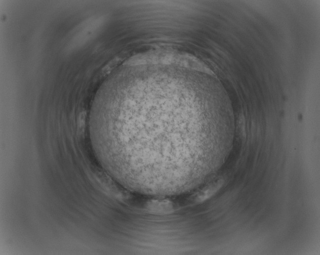 X0000081280271200702012226