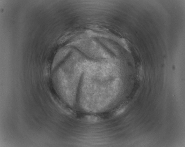 X0000081280272200702012226