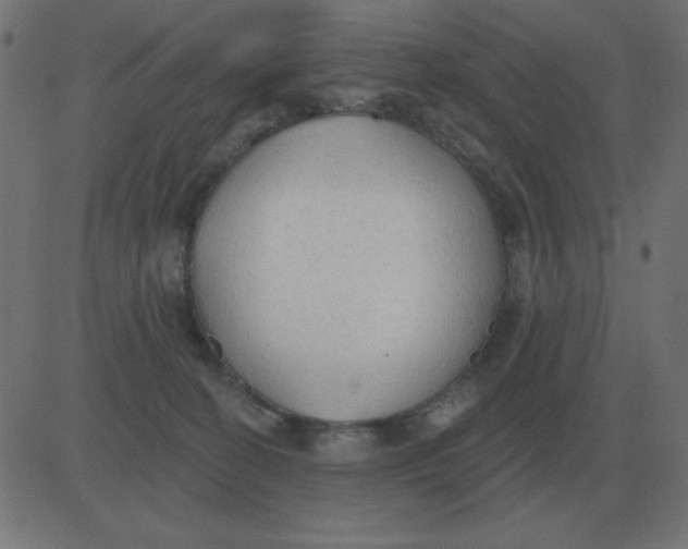 X0000081280274200702012226