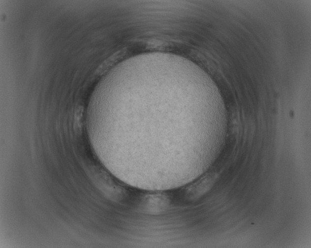 X0000081280275200702012226