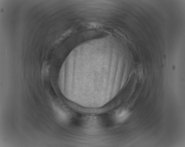 X0000081280276200702012226