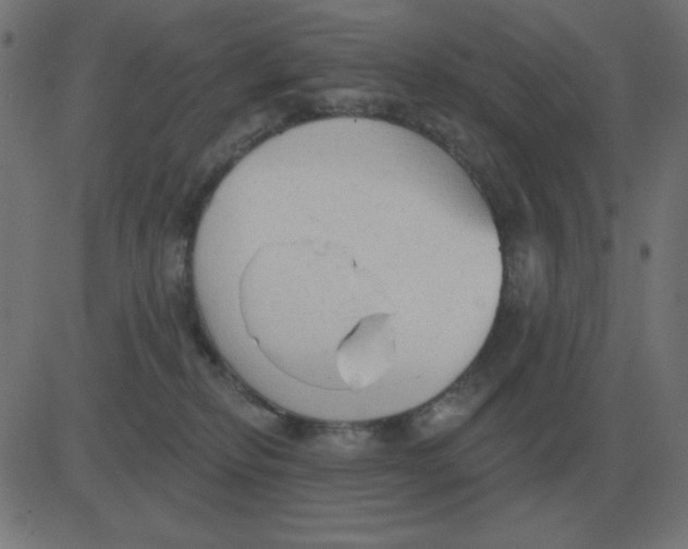 X0000081280278200702012226