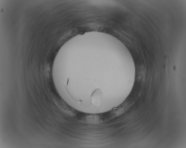 X0000081280279200702012226