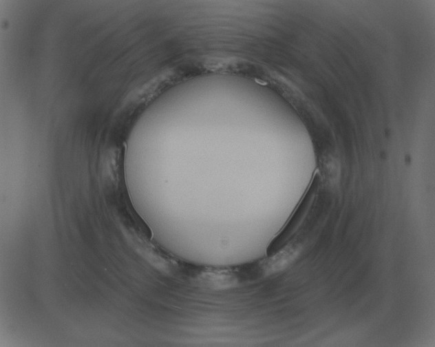 X0000081280280200702012226