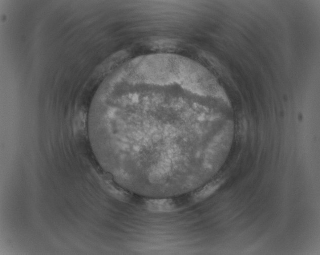 X0000081280281200702012226