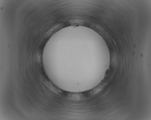 X0000081280282200702012226