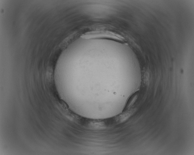 X0000081280283200702012226