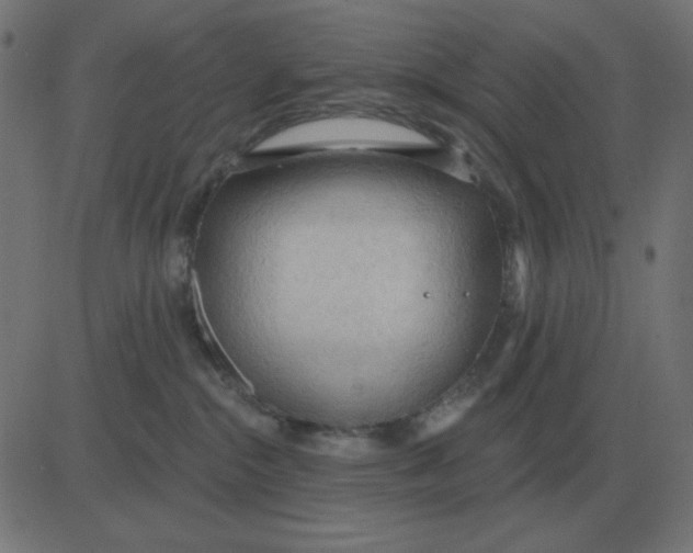 X0000081280284200702012226