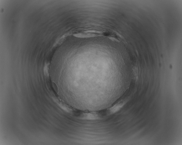 X0000081280286200702012226