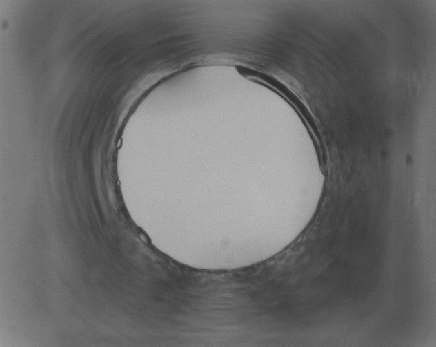 X0000081280289200702012225