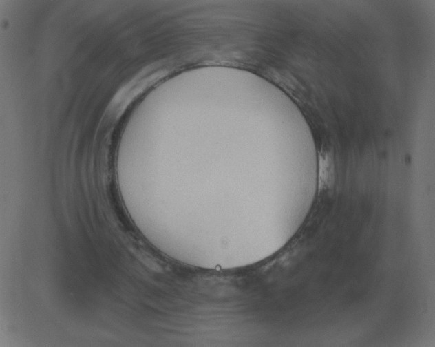 X0000081280291200702012225