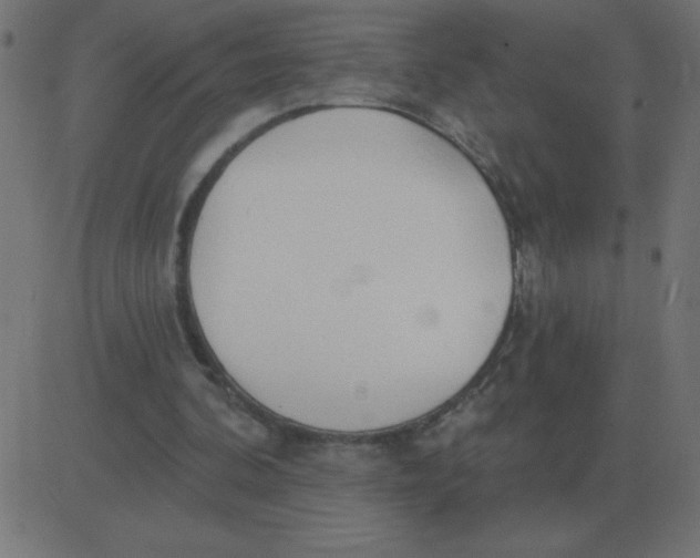 X0000081280292200702012225