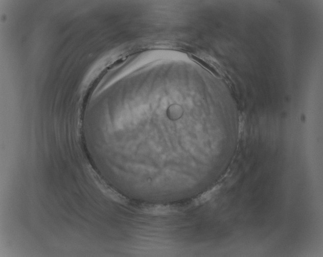 X0000081280293200702012225