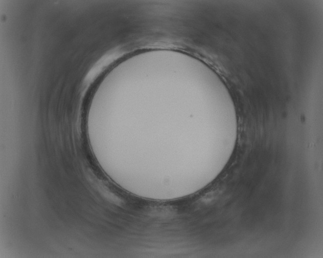 X0000081280296200702012225