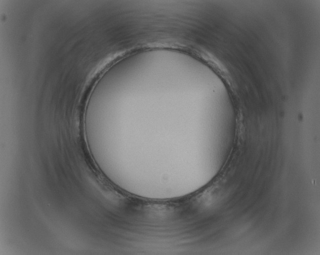 X0000081280298200702012225