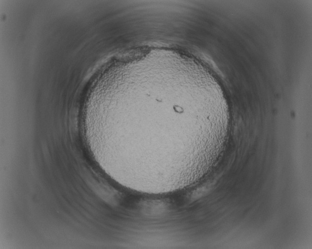 X0000081280299200702012225