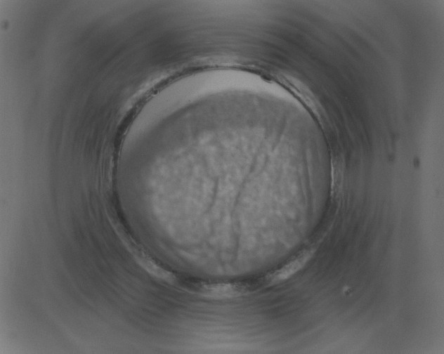 X0000081280301200702012225