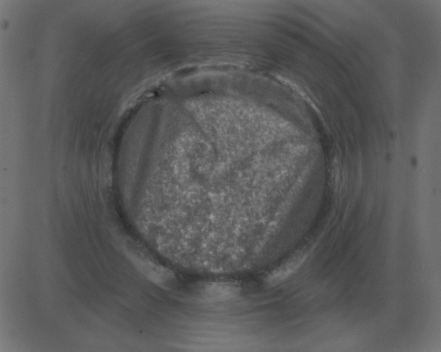 X0000081280303200702012225