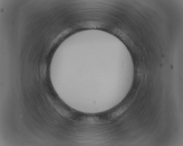 X0000081280304200702012225