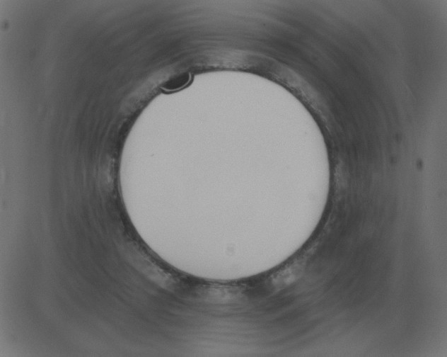 X0000081280305200702012225