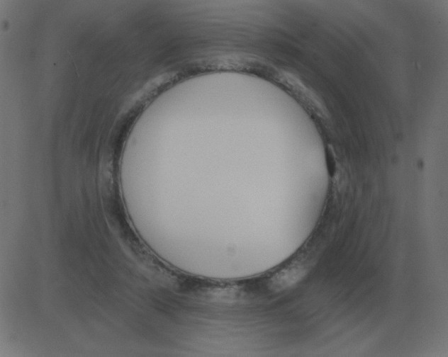 X0000081280306200702012225