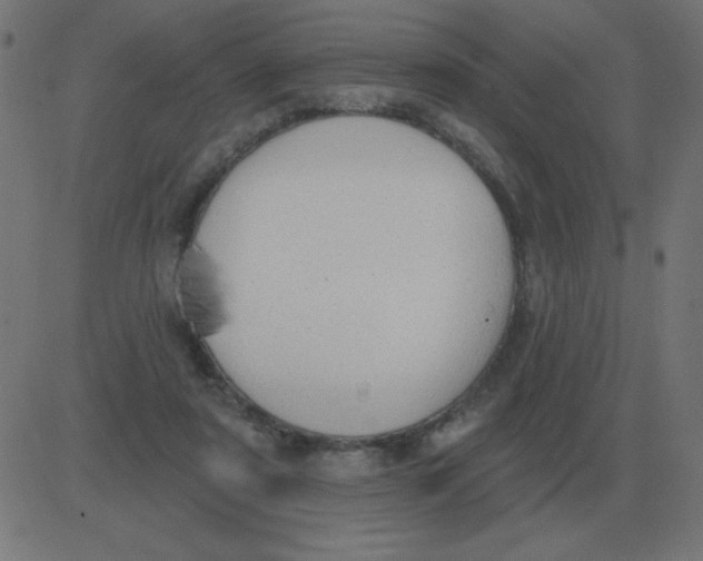 X0000081280307200702012225