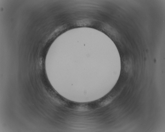 X0000081280308200702012225