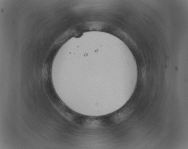 X0000081280311200702012225