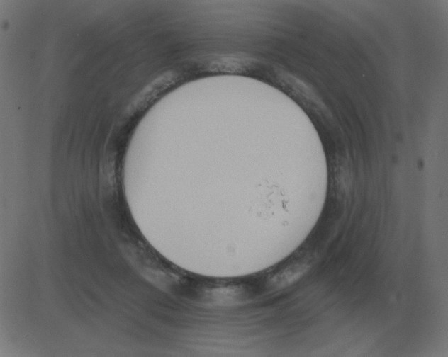 X0000081280312200702012225