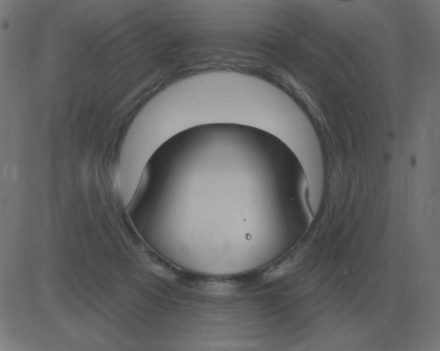 X0000081280313200702012225