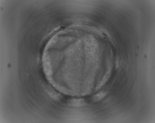 X0000081280314200702012225