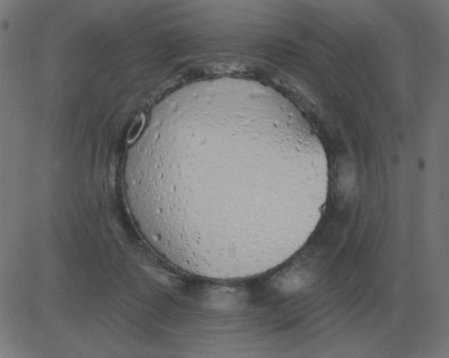 X0000081280315200702012225