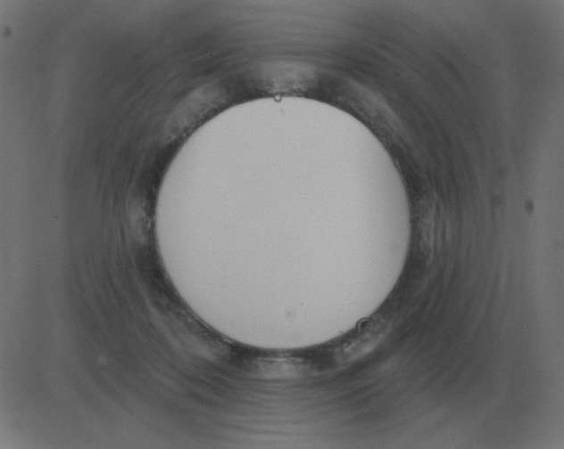 X0000081280316200702012225