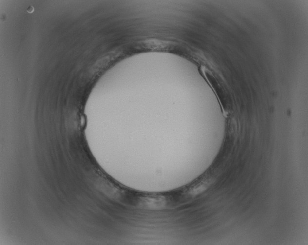 X0000081280317200702012225